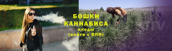 ГАЛЛЮЦИНОГЕННЫЕ ГРИБЫ Балахна